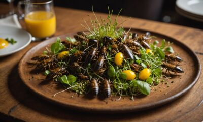 insects in menu opportunity