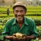 javanese farmer finds gold