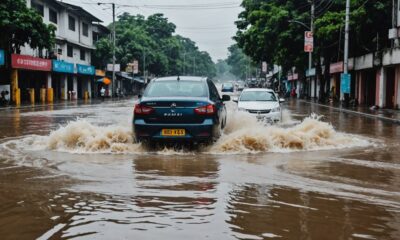 government flood mitigation measures