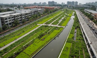 green infrastructure flood mitigation